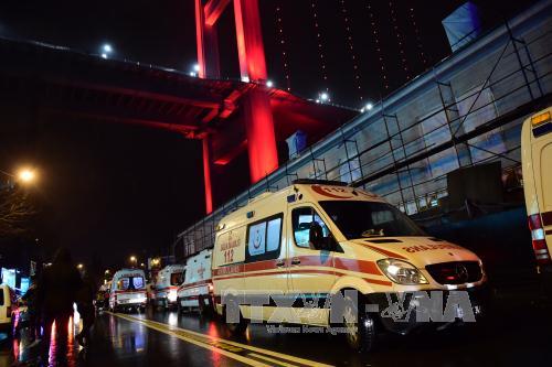 Tổng thống Erdogan gọi vụ tấn công hộp đêm là "trò bẩn thỉu" ảnh 1